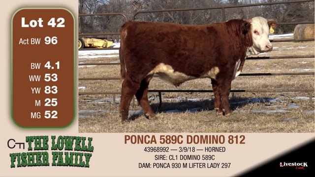 Lot #42 - PONCA 589C DOMINO 812