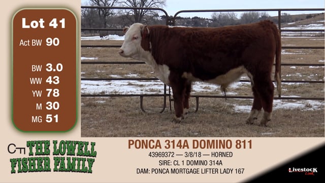 Lot #41 - PONCA 314A DOMINO 811