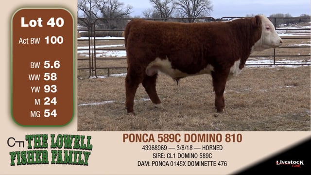 Lot #40 - PONCA 589C DOMINO 810