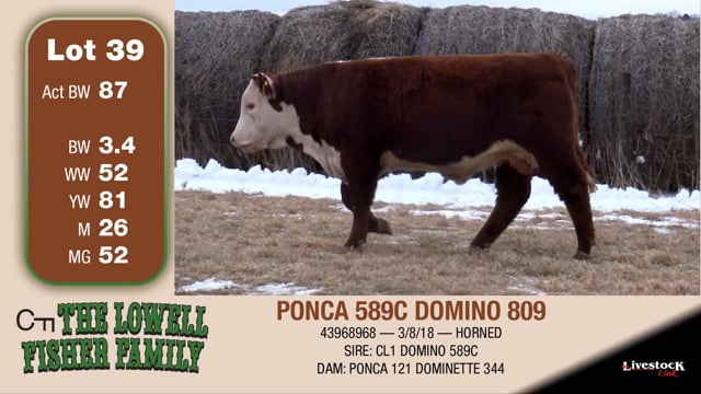 Lot #39 - PONCA 589C DOMINO 809