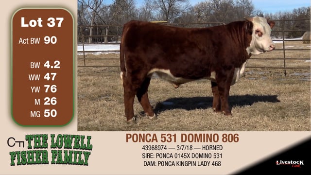 Lot #37 - PONCA 531 DOMINO 806