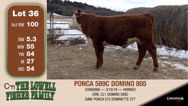 Lot #36 - PONCA 589C DOMINO 805