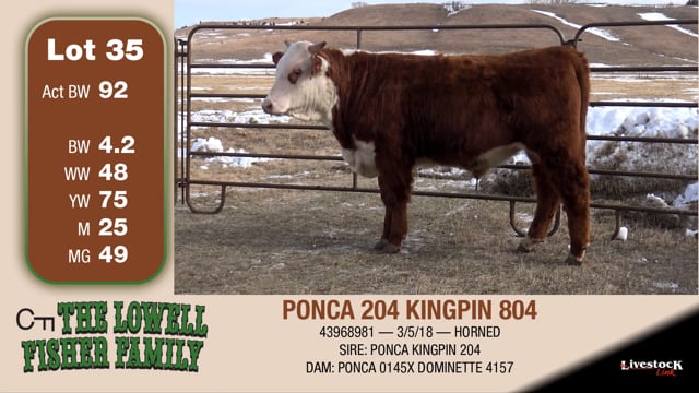 Lot #35 - PONCA 204 KINGPIN 804