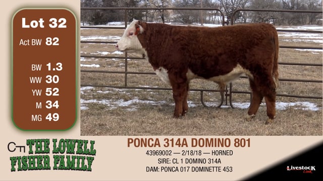 Lot #32 - PONCA 314A DOMINO 801