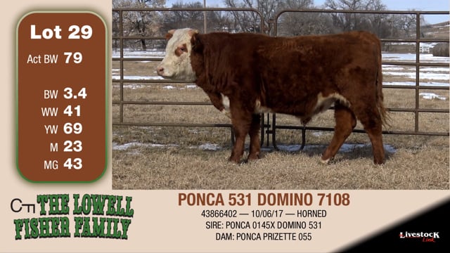 Lot #29 - PONCA 531 DOMINO 7108