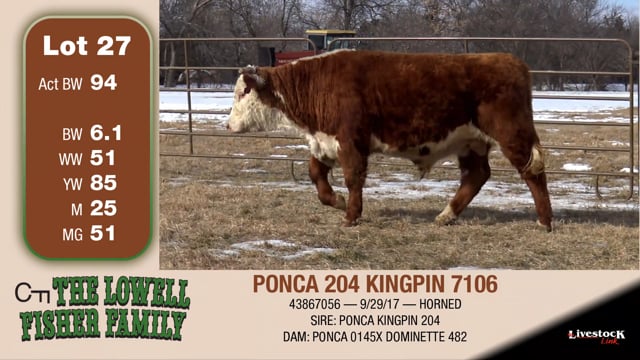 Lot #27 - PONCA 204 KINGPIN 7106