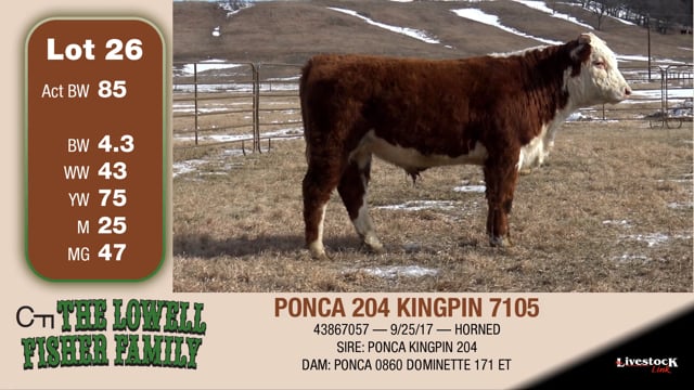 Lot #26 - PONCA 204 KINGPIN 7105
