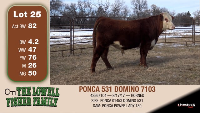 Lot #25 - PONCA 531 DOMINO 7103