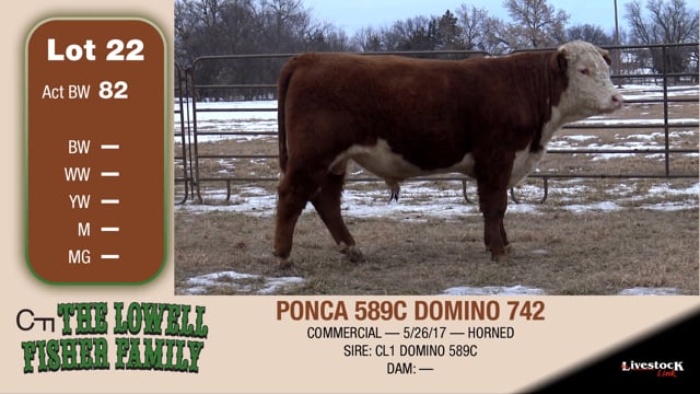 Lot #22 - PONCA 589C DOMINO 742