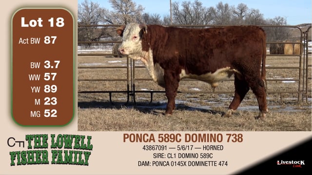 Lot #18 - PONCA 589C DOMINO 738