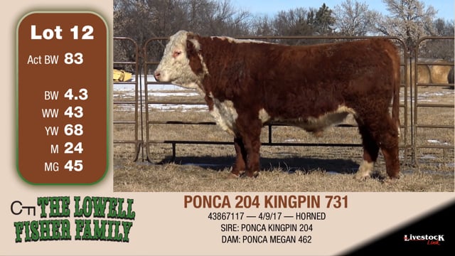 Lot #12 - PONCA 204 KINGPIN 731