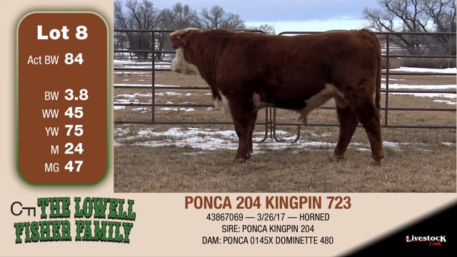 Lot #8 - PONCA 204 KINGPIN 723