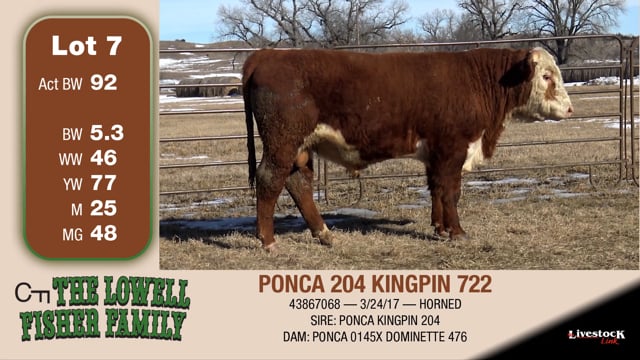 Lot #7 - PONCA 204 KINGPIN 722