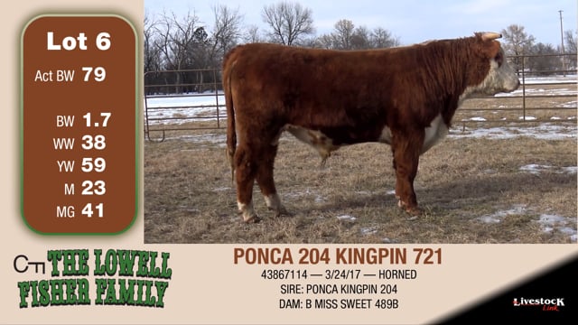 Lot #6 - PONCA 204 KINGPIN 721