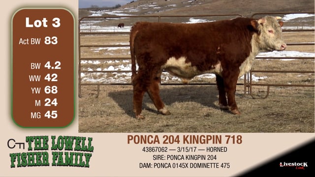 Lot #3 - PONCA 204 KINGPIN 718
