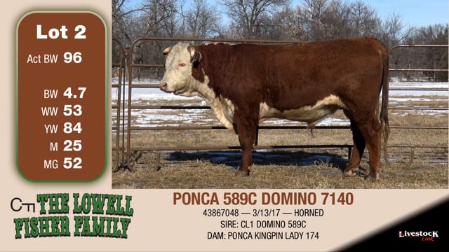Lot #2 - PONCA 589C DOMINO 7140