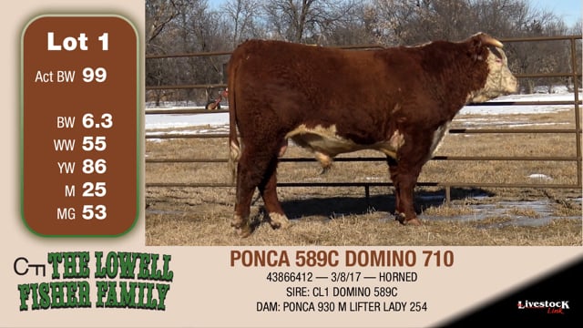 Lot #1 - PONCA 589C DOMINO 710