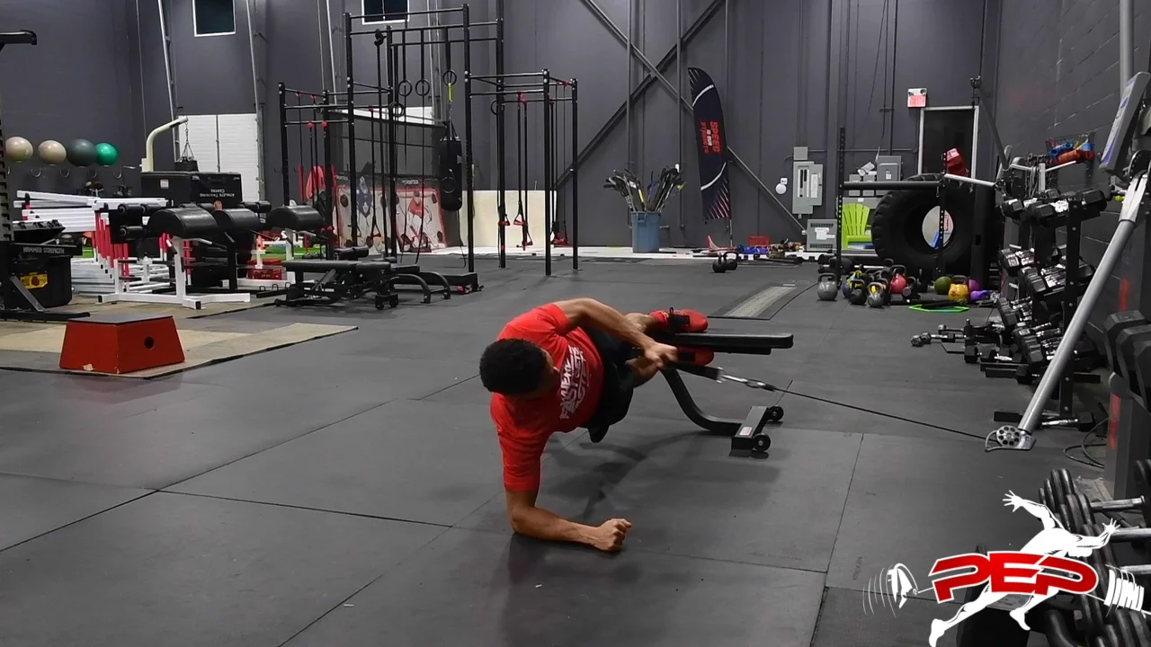 Side Plank Adductor Hold with Row on Vimeo