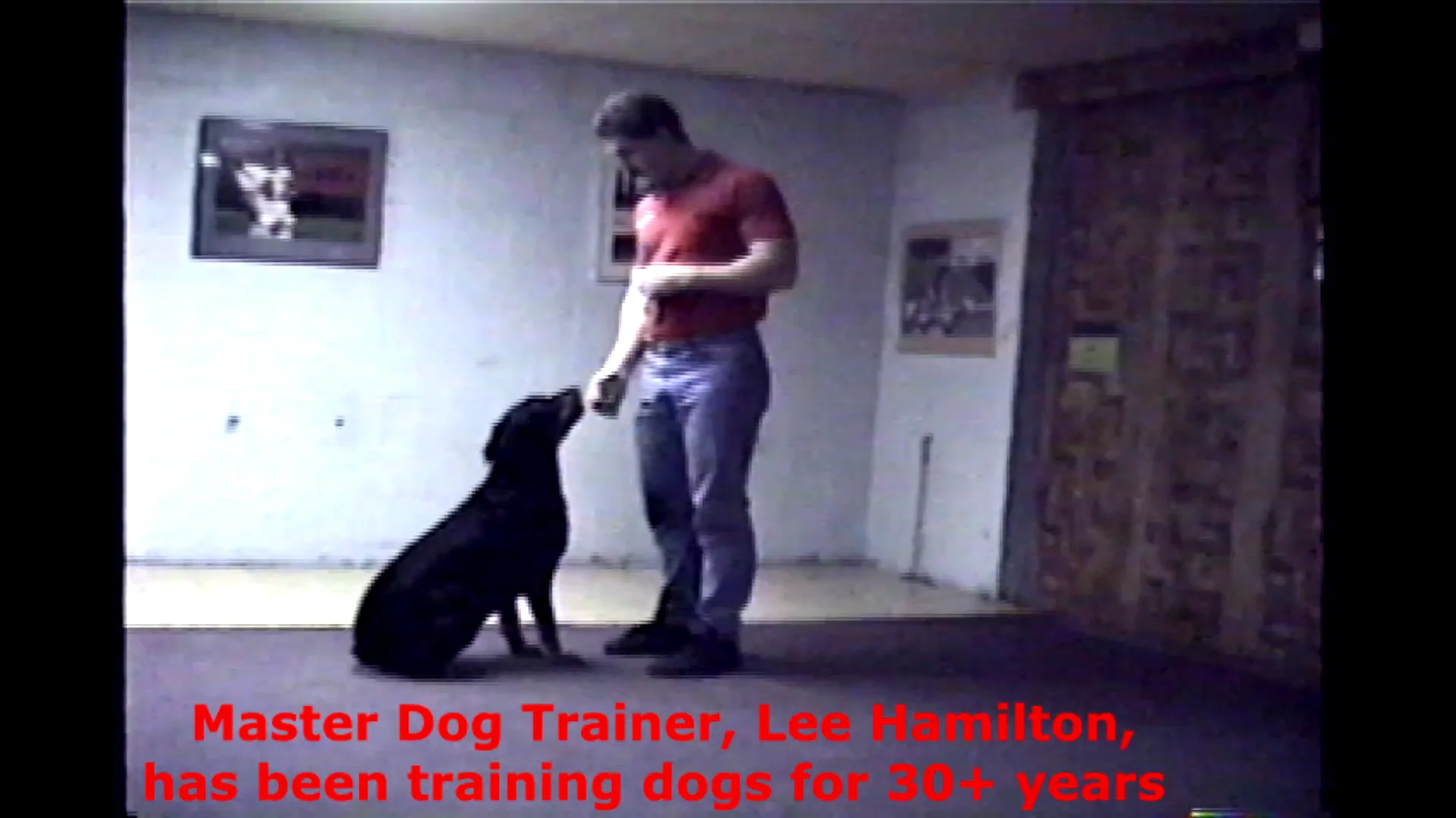 Master store dog trainer