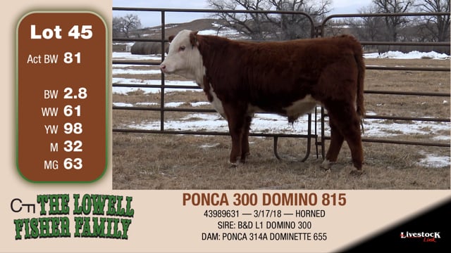 Lot #45 - PONCA 300 DOMINO 815