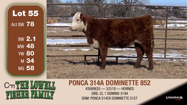 Lot #55 - PONCA 314A DOMINETTE 852