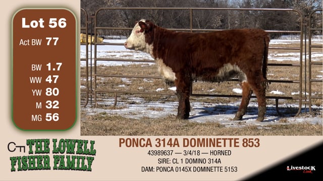 Lot #56 - PONCA 314A DOMINETTE 853