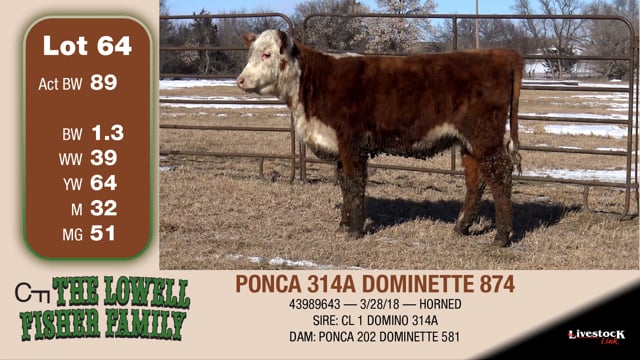 Lot #64 - PONCA 314A DOMINETTE 874