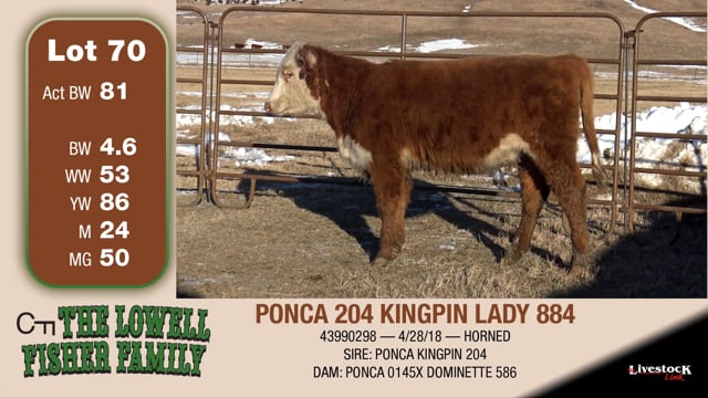 Lot #70 - PONCA 204 KINGPIN LADY 884