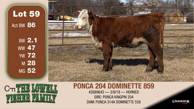 Lot #59 - PONCA 204 DOMINETTE 859