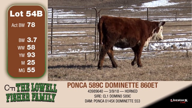 Lot #54B - PONCA 589C DOMINETTE 860ET