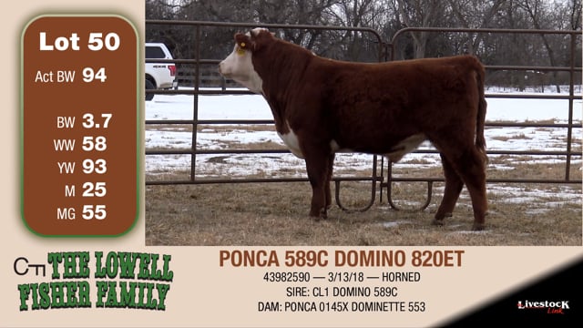 Lot #50 - PONCA 589C DOMINO 820ET