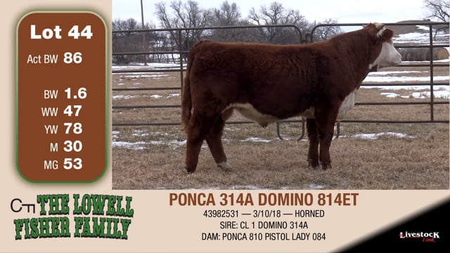 Lot #44 - PONCA 314A DOMINO 814ET