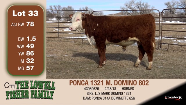 Lot #33 - PONCA 1321 M. DOMINO 802