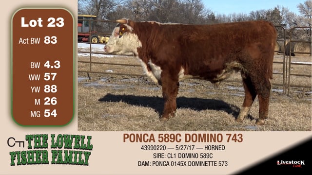 Lot #23 - PONCA 589C DOMINO 743