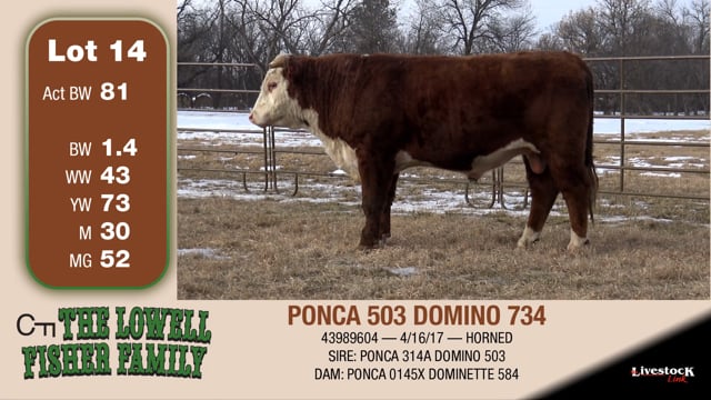 Lot #14 - PONCA 503 DOMINO 734