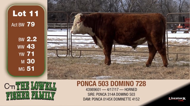 Lot #11 - PONCA 503 DOMINO 728