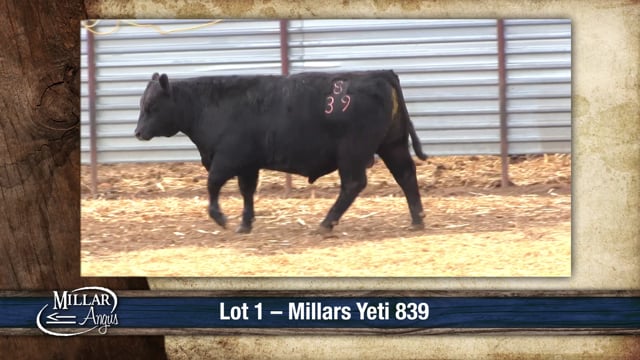 Lot #1 - MILLARS YETI 839