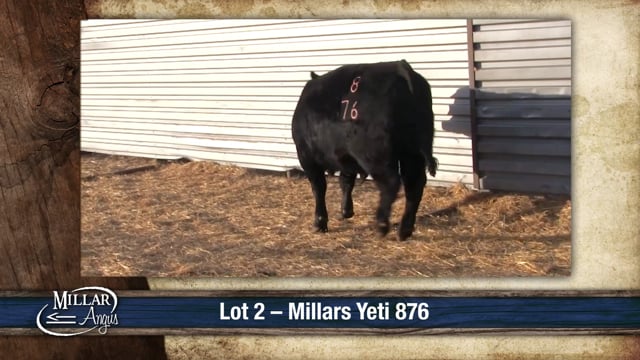 Lot #2 - MILLARS YETI 876