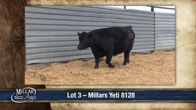 Lot #3 - MILLARS YETI 8128