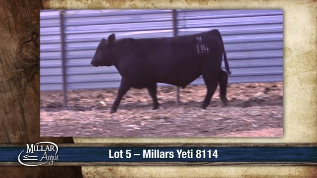 Lot #5 - MILLARS YETI 8114