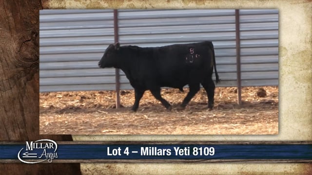 Lot #4 - MILLARS YETI 8109