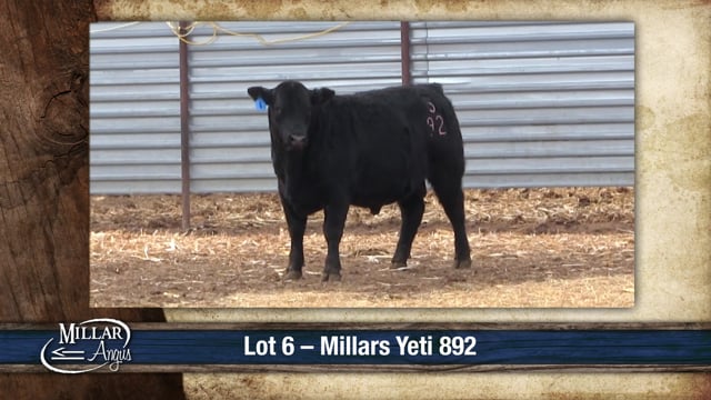 Lot #6 - MILLARS YETI 892
