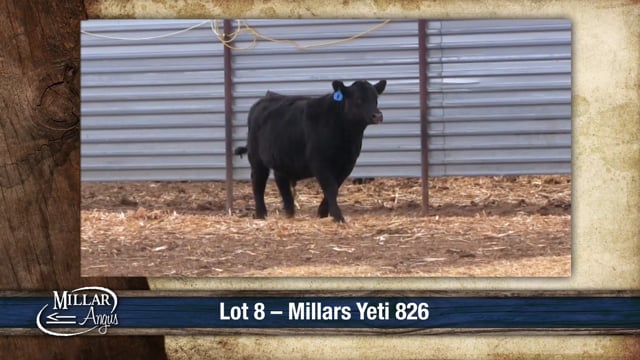 Lot #8 - MILLARS YETI 826