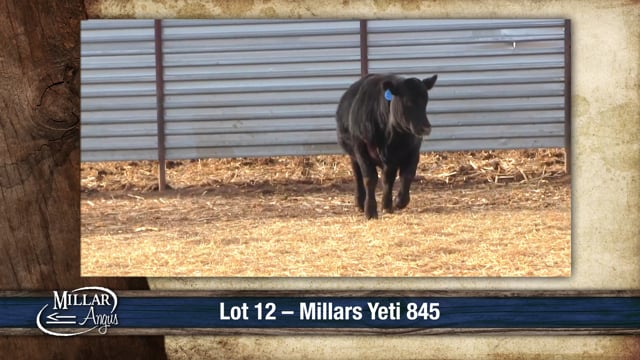 Lot #12 - MILLARS YETI 845