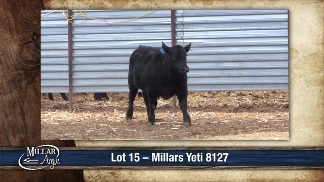 Lot #15 - MILLARS YETI 8127