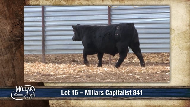 Lot #16 - MILLARS CAPITALIST 841