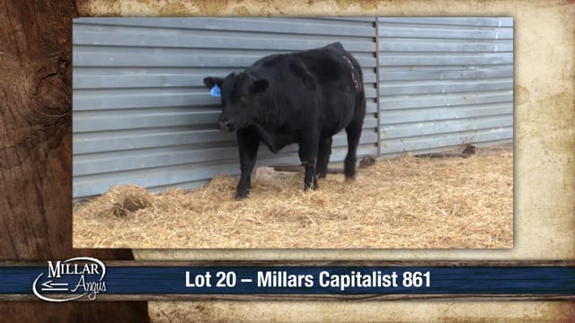 Lot #20 - MILLARS CAPITALIST 861