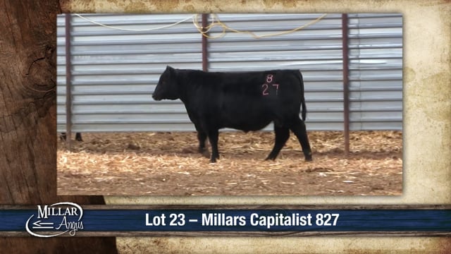 Lot #23 - MILLARS CAPITALIST 827