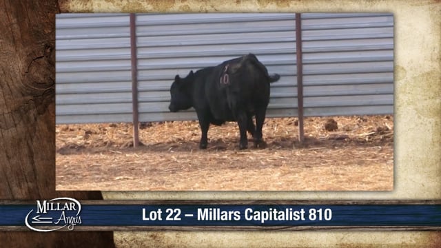 Lot #22 - MILLARS CAPITALIST 810