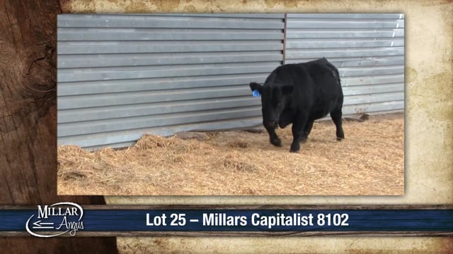 Lot #25 - MILLARS CAPITALIST 8102